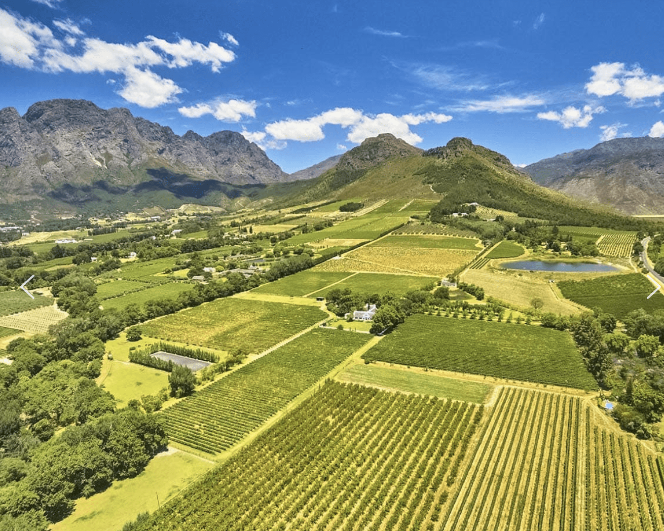 Aerial view of a vineyard, illustrating BevZero wine grape cultivation locations