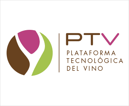 Silvia Cedeño, directora general de BevZero España, presenta un webinar de PTV sobre desalcoholización