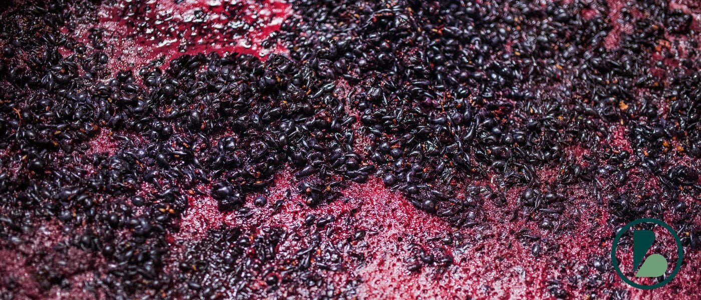 Reviving Stuck Fermentations