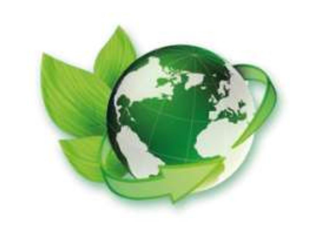 Eco-friendly winery equipment for wine production, fermentation, and filtration