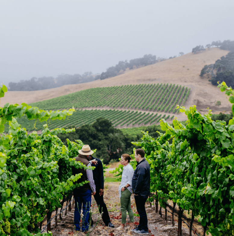 rachel vineyard oceano